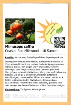 Mimusops caffra, 10 Samen